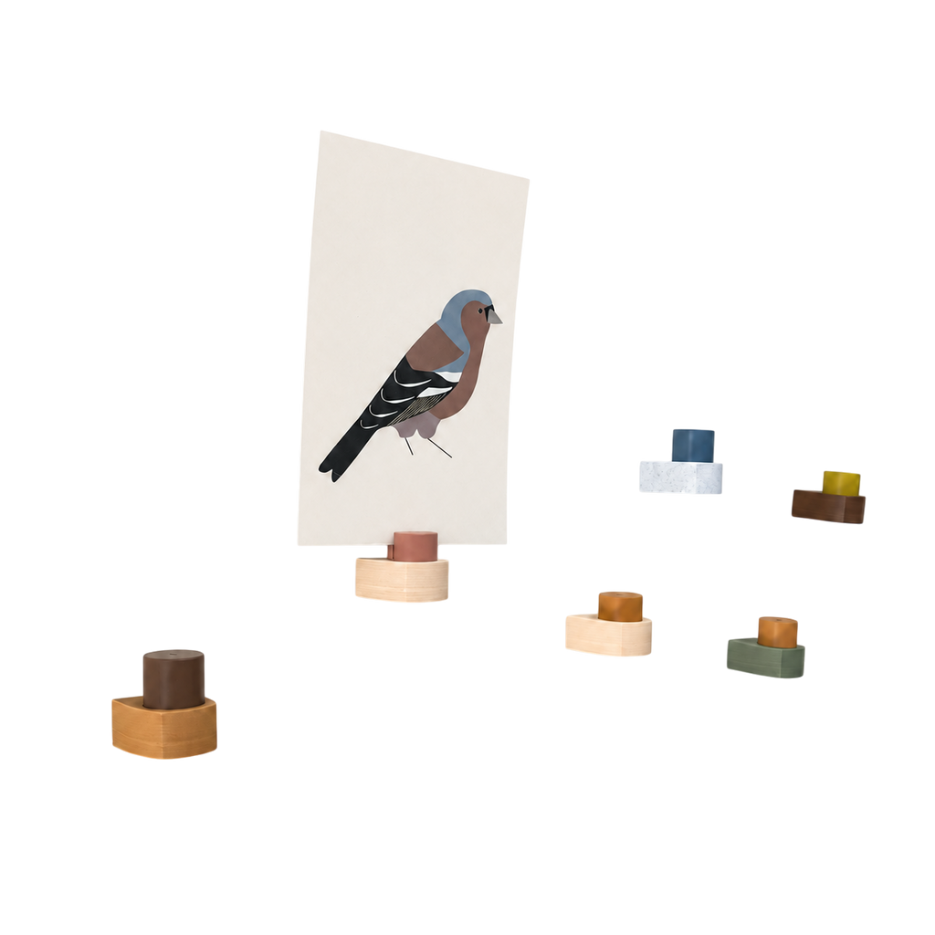 ModuForm ModuBase hangende kaarthouders van duurzaam PLA aan een witte muur met een vogelkaart en kleurrijke accenten