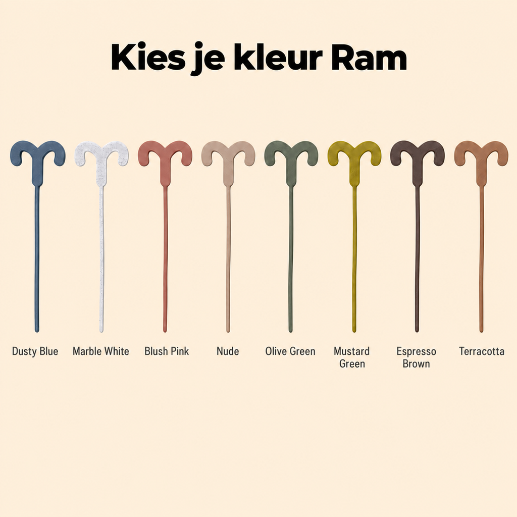 ModuStars Ram